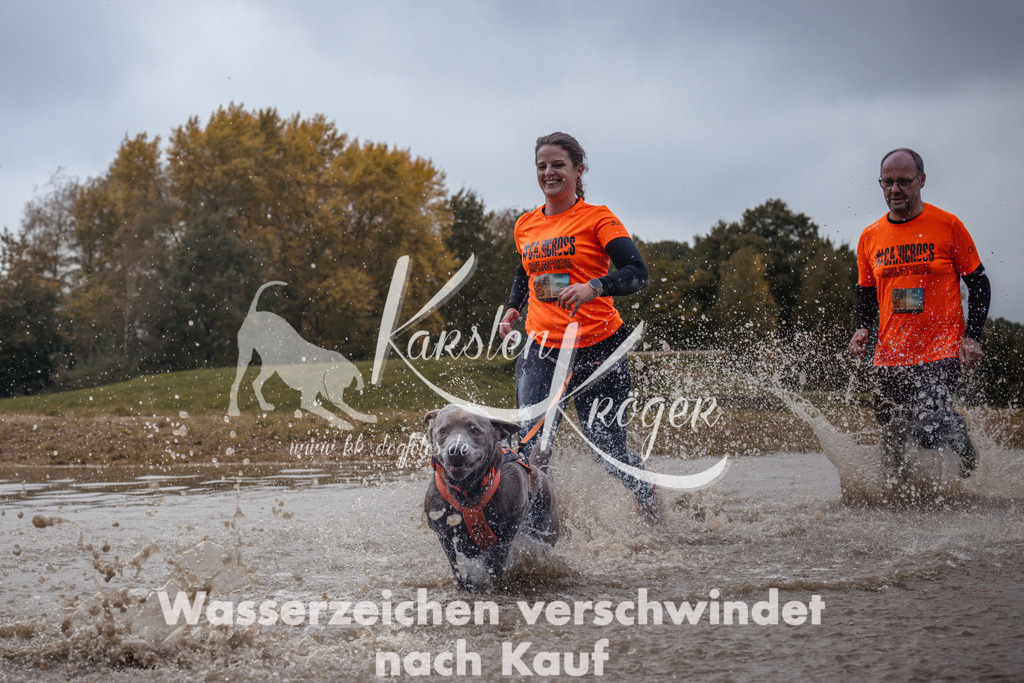 1327_ZZ94137 | kk-dogfotos