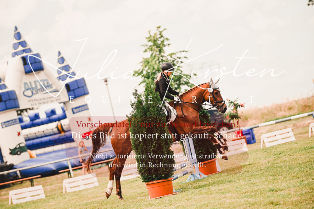 DSC_6873 | Pferde- und Turnierfotografie in Westsachsen. Pferdeportraits, Auftragszeichnungen und intuitive Kunst.