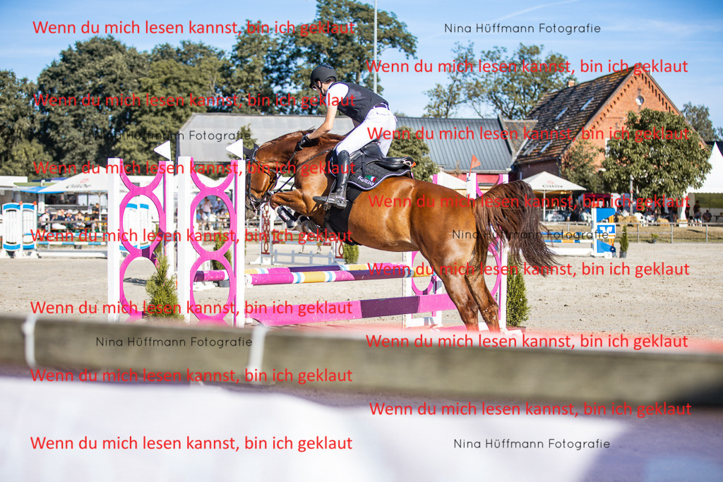 BK1A7552 | Turnierbilder Turnierfotos Nina Hüffmann Turnierfotografie Pferdefotografie Tierzeichnung Haustierzeichnung Pferdezeichnung Hundezeichnung Videograf  - Realisiert mit Pictrs.com