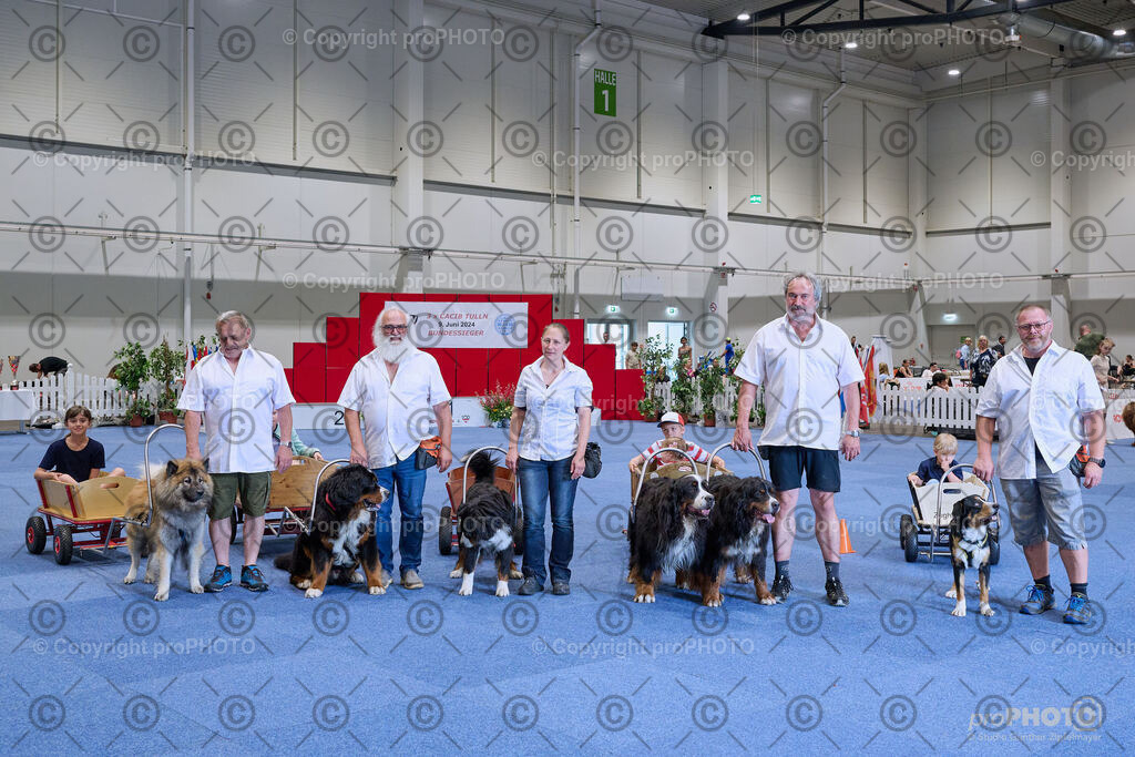 202406_ÖKV-IHA-Tulln24_NZ9_9408 | proPHOTO - Realisiert mit Pictrs.com