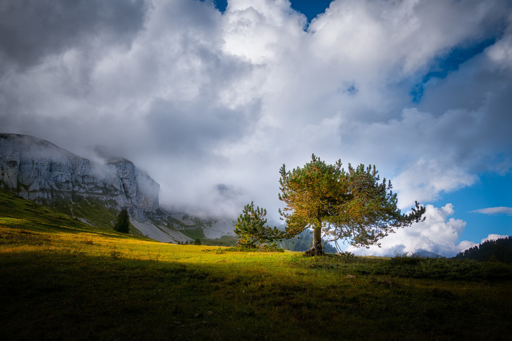 Hohgant | hess_photography - Realisiert mit Pictrs.com