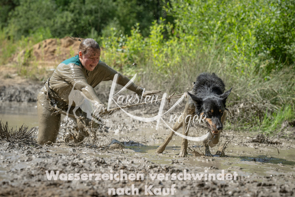 1039_ZZ93516 | kk-dogfotos