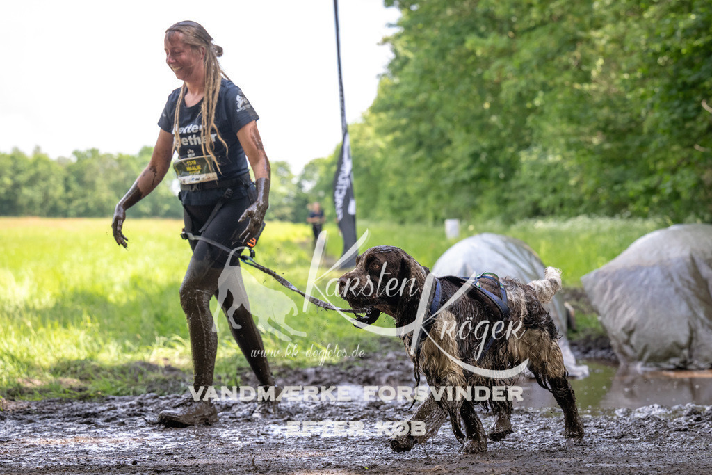 1305_ZZ90054 | kk-dogfotos