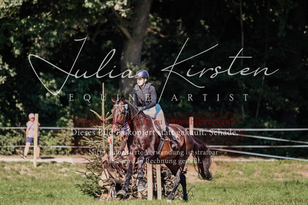 DSC_3423 | Pferde- und Turnierfotografie in Westsachsen. Pferdeportraits, Auftragszeichnungen und intuitive Kunst.