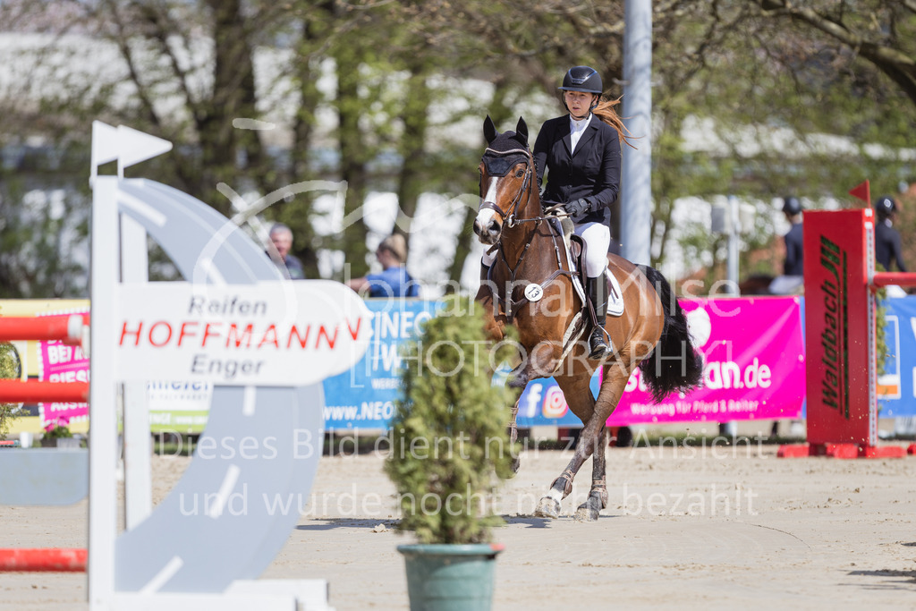 230501_SpengeW_M2St-112 | Deine schönsten Turniermomente als professionelle Fotos! Entdecke hochwertige Pferdesport-Fotografie im Online-Shop. Jetzt Fotos finden & bestellen!