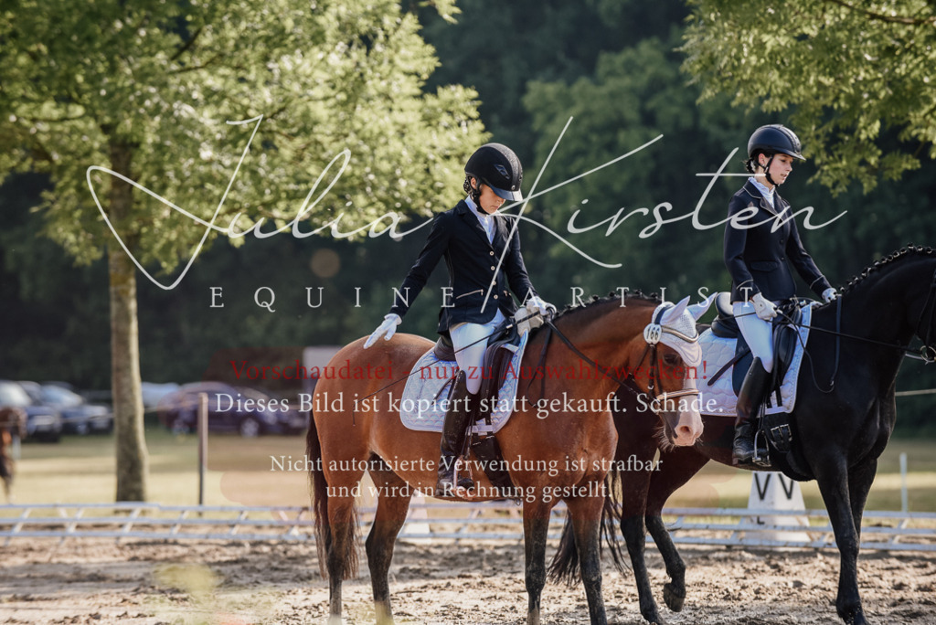 DSC_7891 | Pferde- und Turnierfotografie in Westsachsen. Pferdeportraits, Auftragszeichnungen und intuitive Kunst.