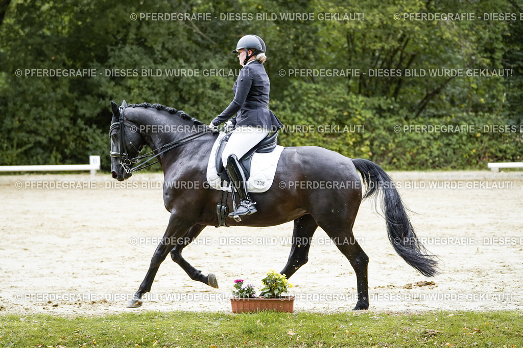 DSC09442 | Pferdegrafie