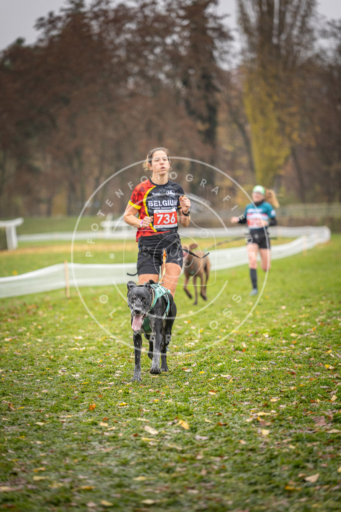 CaniXpix_DV3A9214 | Hundefotografie, Tierfotograf, Pfotenfotografie, Fotoshooting Hund, Hunde Portrait, Hundesport, Hundeportraits, Heideshooting, Hunde, Sportfotograf, Hundefotograf, Turnierhundsport, THS,  - Realisiert mit Pictrs.com