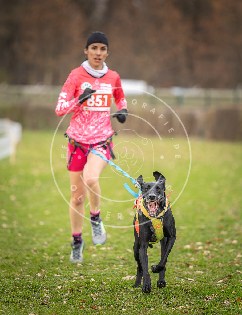 CaniXpix_DV3A6446 | Hundefotografie, Tierfotograf, Pfotenfotografie, Fotoshooting Hund, Hunde Portrait, Hundesport, Hundeportraits, Heideshooting, Hunde, Sportfotograf, Hundefotograf, Turnierhundsport, THS,  - Realisiert mit Pictrs.com