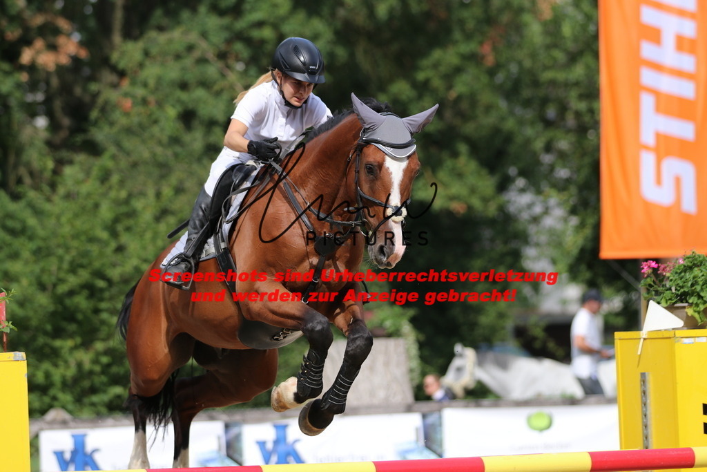 IMG_0768 | lmwpictures - Realisiert mit Pictrs.com