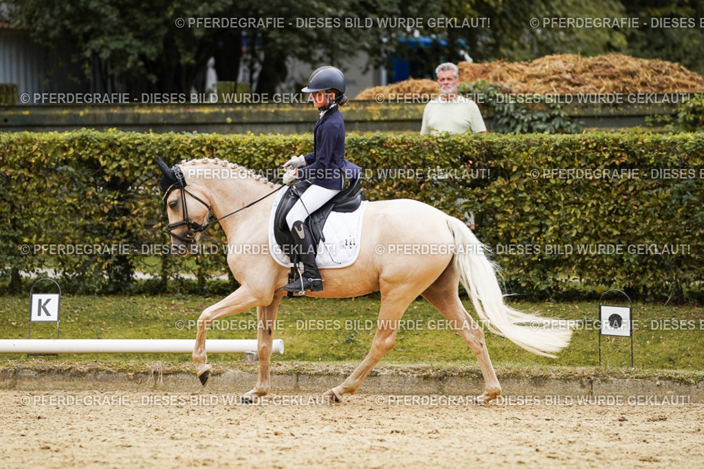 DSC00537 | Pferdegrafie