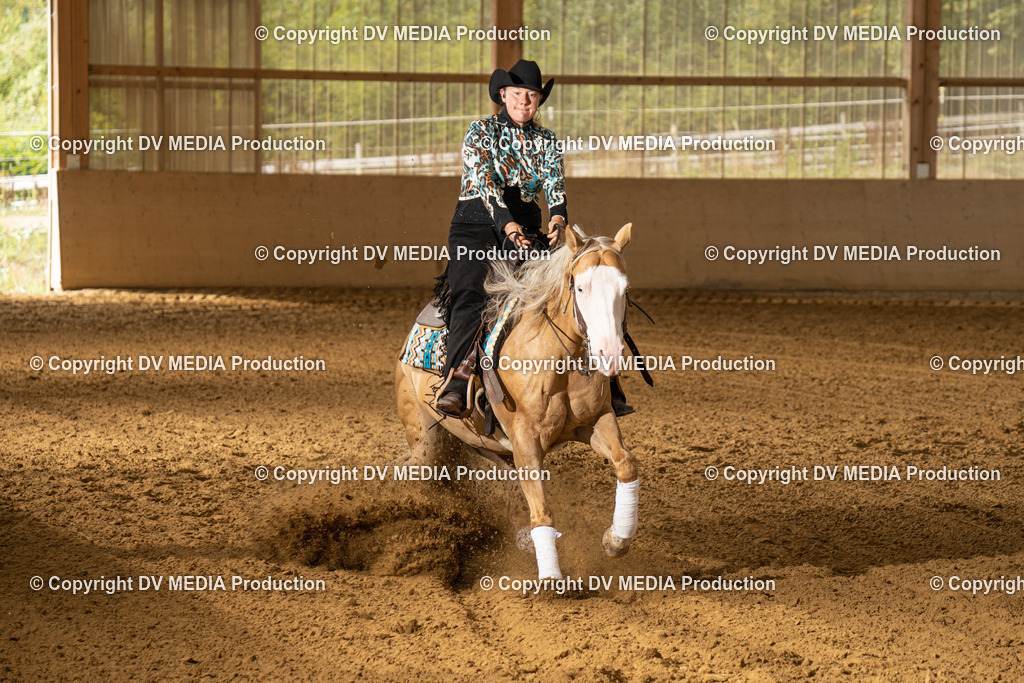 LAU01563 | dv-media-shop - Realisiert mit Pictrs.com