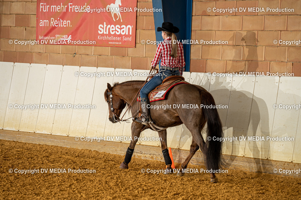 MIT00655 | dv-media-shop - Realisiert mit Pictrs.com