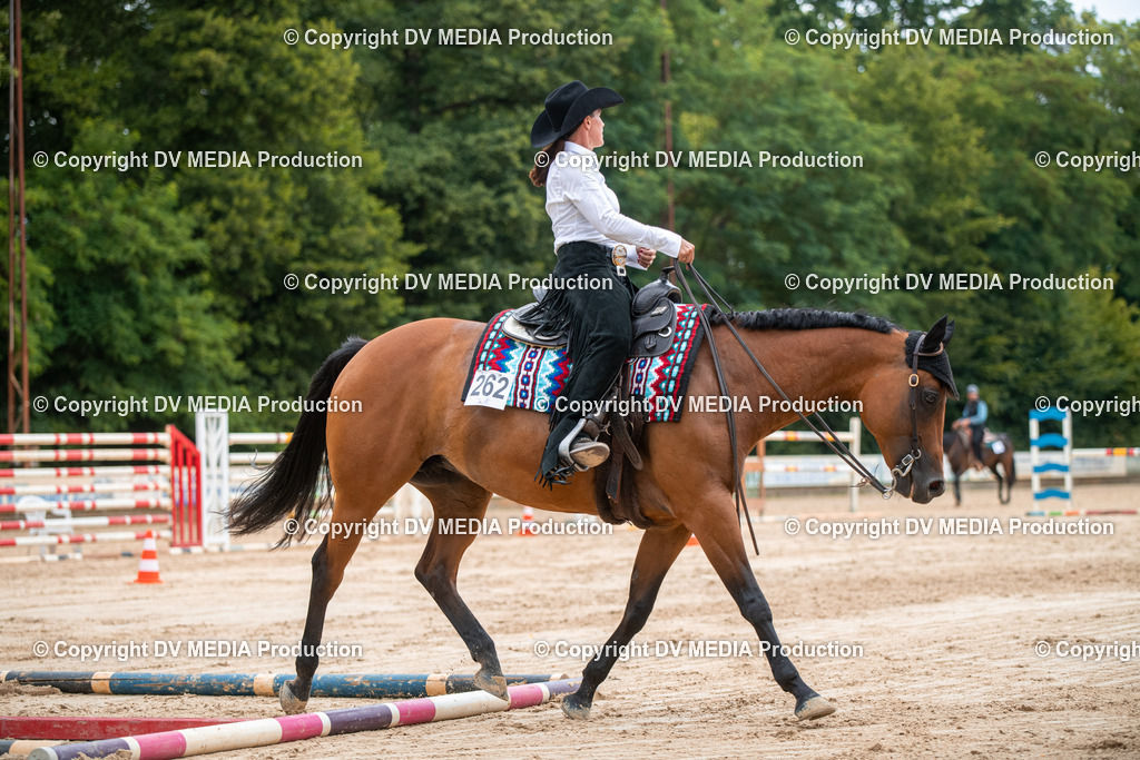 ZS2_8392 | dv-media-shop - Realisiert mit Pictrs.com