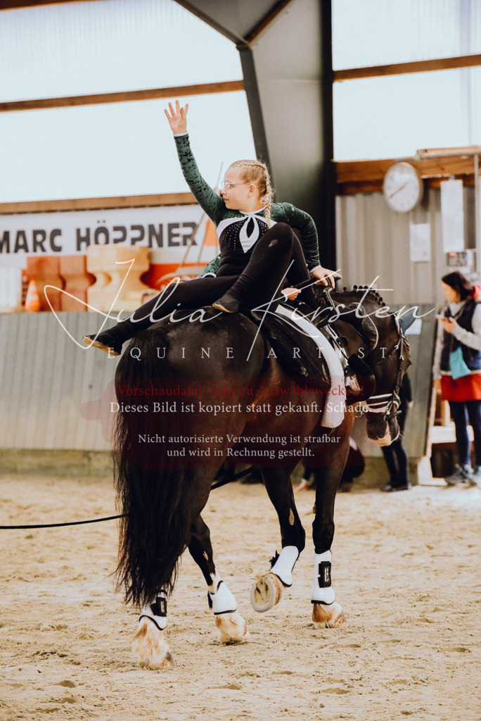 DSC_6873 | Pferde- und Turnierfotografie in Westsachsen. Pferdeportraits, Auftragszeichnungen und intuitive Kunst.