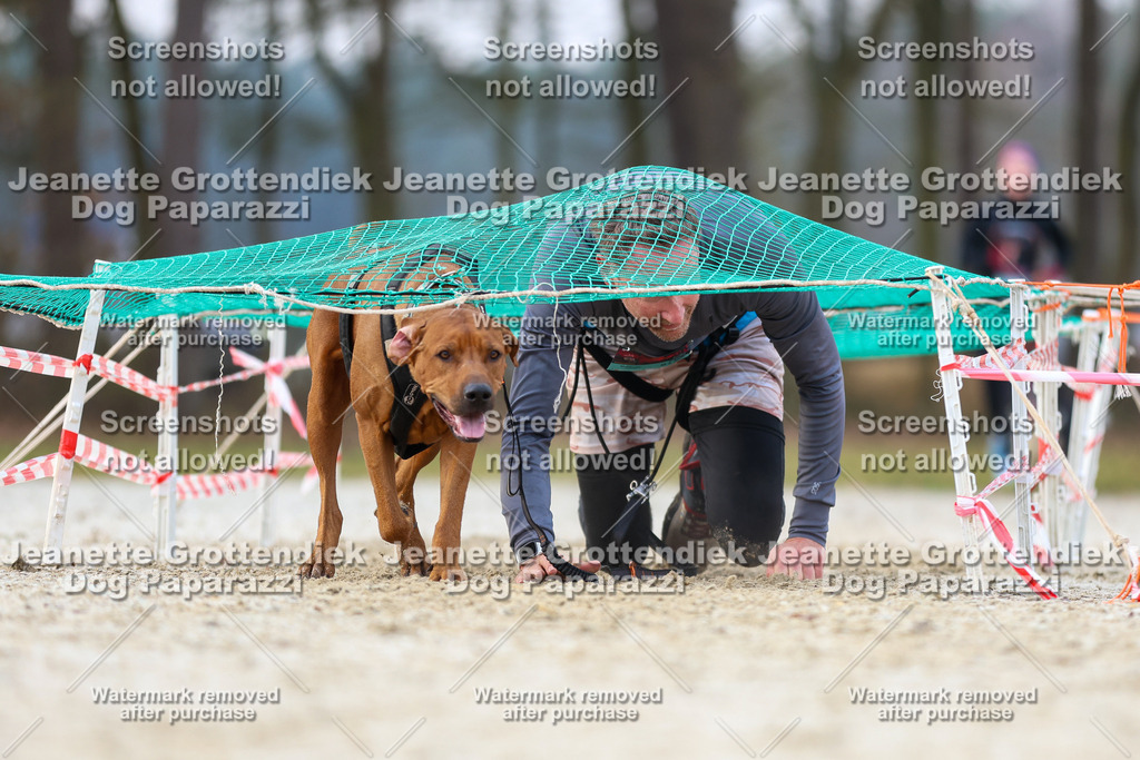 Dog Paparazzi - Strongdog North Mrz26-3844 | Dog Paparazzi Jeanette Grottendiek Fotografie & Videografie - Realisiert mit Pictrs.com