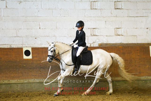 DKP44113 | Turniersportfotografie; Pferdefotografie; Dressurfotografie