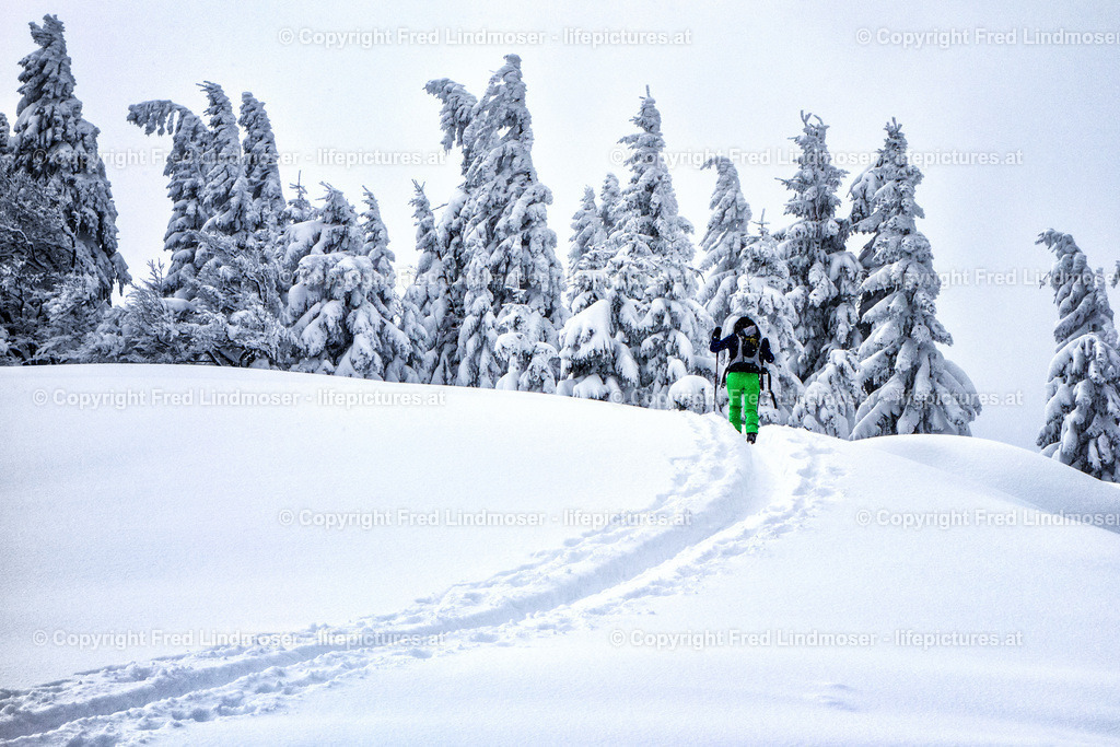 Schneeschuhwandern_DSC00693 | Fotos und Fotoprodukte - Realisiert mit Pictrs.com