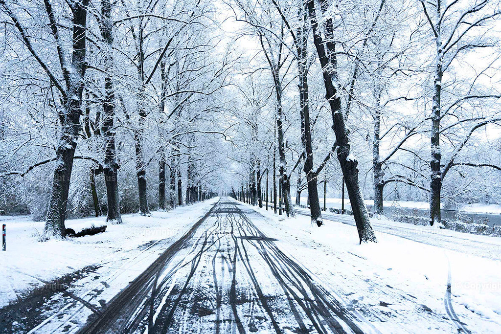 Clara Park | Der Clara-Zetkin-Park in Leipzig ist ein beliebter Ort für Natur, Sport und Erholung – perfekt für Spaziergänge, Jogging und entspannte Stunden im Grünen. - Realisiert mit Pictrs.com