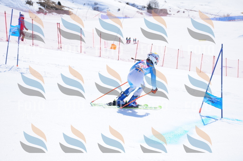 DSC_4785 | holidayphoto