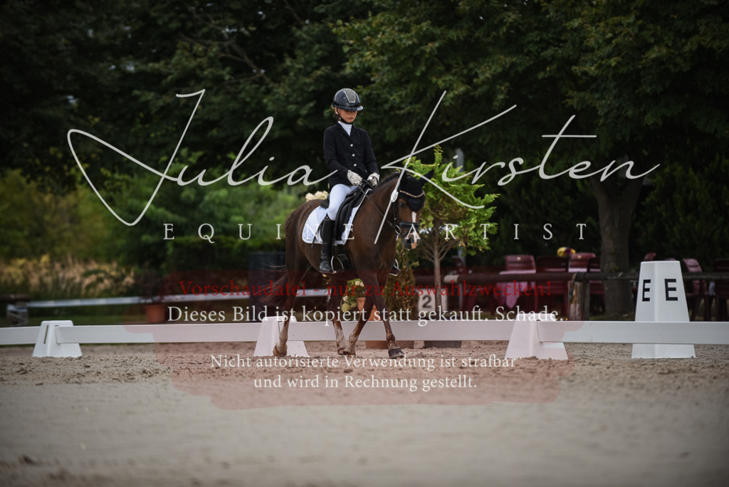 DSC_8149 | Pferde- und Turnierfotografie in Westsachsen. Pferdeportraits, Auftragszeichnungen und intuitive Kunst.