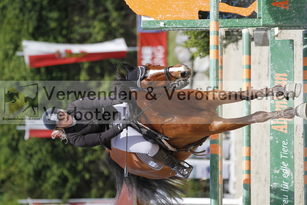 _MG_3377 | equestrian-live-com