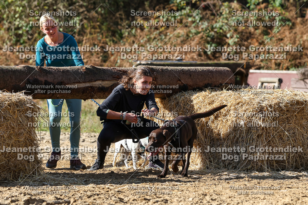 Dog Paparazzi - Strongdog 10-25-4679 | Dog Paparazzi Jeanette Grottendiek Fotografie & Videografie - Realisiert mit Pictrs.com