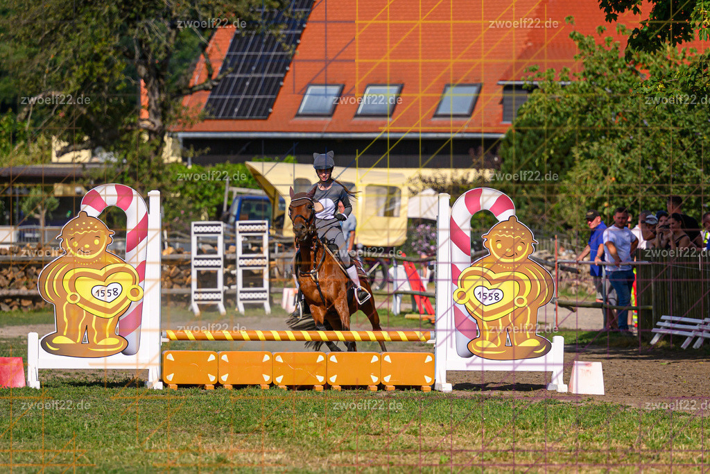30 Jahre RFV Pulsnitz e.V., Pulsnitz am 09.08.2026 | Zur 28. breitensportlichen Veranstaltung des RFV Pulsnitz e.V. fanden verschiedene Wettbewerbe in nahezu allen Disziplinen des Pferdesport statt. - 05 Kostüm-Stilspring-Wettbewerb - Realisiert mit Pictrs.com