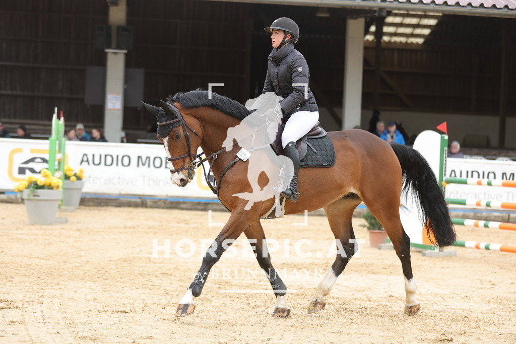 0P6A2654 | Willkommen bei Brunnmayr - Design & Fotografie – Ihrem Spezialisten für Reitturniere und Pferdeveranstaltungen in Oberösterreich, Salzburg und Bayern! Seit über 17 Jahren sind wir leidenschaftlich dabei.