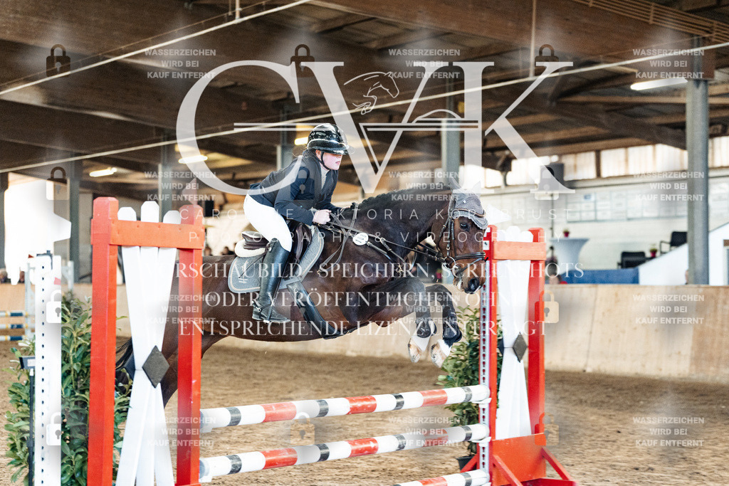 CK904022 | Turnierfotografie Pferdefotografie Trier Rheinland-Pfalz Pferdesport Reitsport Tierfotografie Sportfotografie Pferdevideo Pferdevideografie Equestrianvideography equestrianphotography  - Realized with Pictrs.com