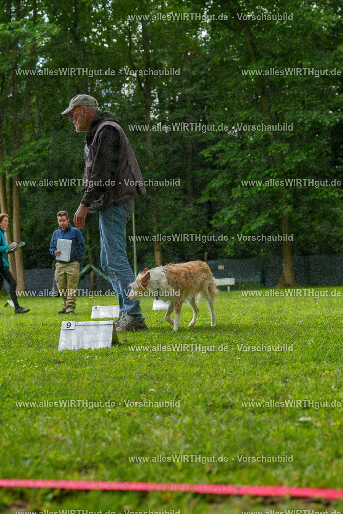 @allesWIRTHgut_Tierfotografie - www.allesWIRTHgut.de - 7R501346 | Professionelle Tierfotografie in Mönchengladbach von Daniel Wirth (allesWIRTHgut). Liebevolle & natürliche Bilder von Hunden & Katzen für unvergessliche Erinnerungen.