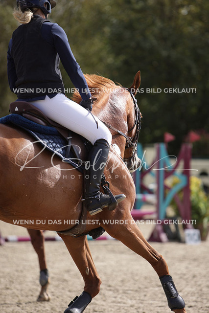 1J2A3336Christin Schulz_ Carsta AS_ Kn124_ Havekost | Foto- und Videografie für alles rund ums Pferd. Hochwertige Bilder und Videos vom Spring- und Dressurreiten, Voltigieren & mehr. Jetzt aktuelle Veranstaltungen und Preise im Shop ansehen. - Realisiert mit Pictrs.com