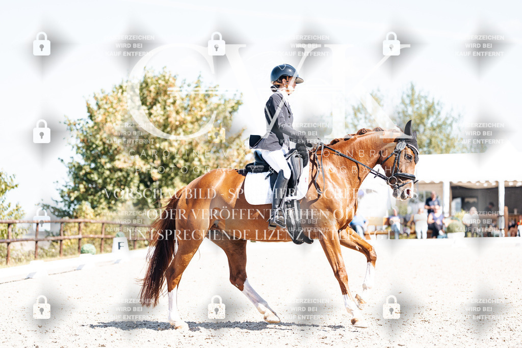 CK904066 | Turnierfotografie Pferdefotografie Trier Rheinland-Pfalz Pferdesport Reitsport Tierfotografie Sportfotografie Pferdevideo Pferdevideografie Equestrianvideography equestrianphotography  - Realisiert mit Pictrs.com