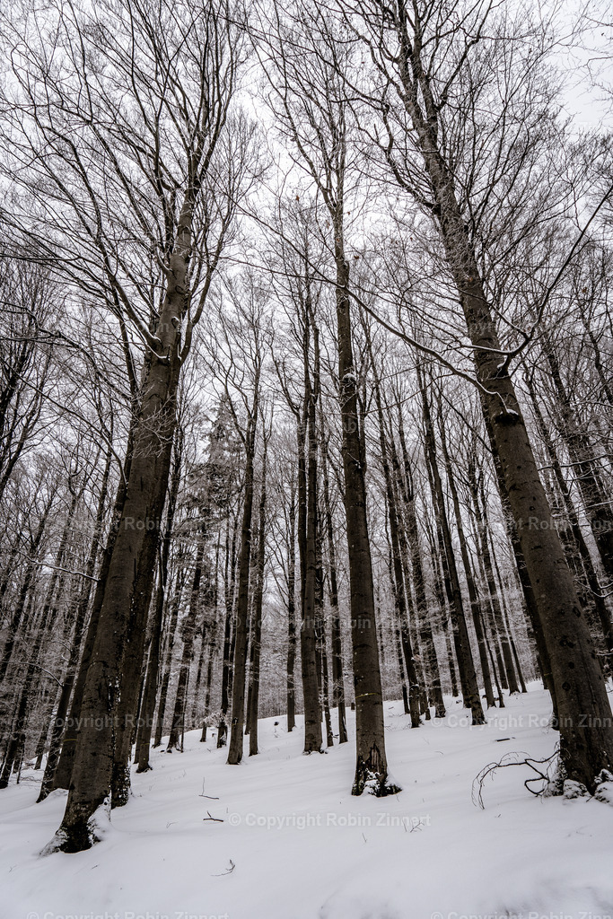 Instawalk_Seehaus-3 | Robin Zinnert - Realisiert mit Pictrs.com