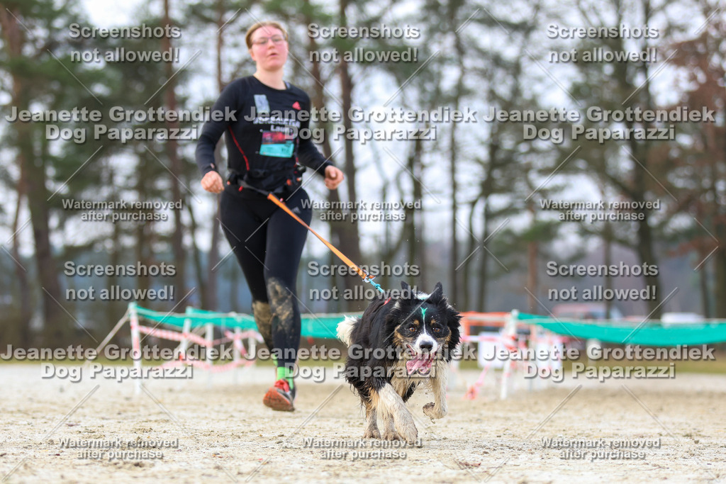 Dog Paparazzi - Strongdog North Mrz26-3965 | Dog Paparazzi Jeanette Grottendiek Fotografie & Videografie - Realisiert mit Pictrs.com
