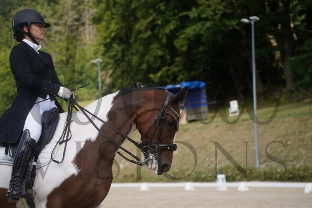 tbhsamstag (1572) | d.tail Visions - Shop - Realisiert mit Pictrs.com