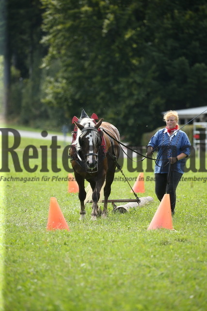 Leistungsprüfung_Sankt Märgen_2022_KN_06_Lissy (9) | Alle Fotos der Reiterjournal Fotografin Doris Matthaes im Reiterjournal Online-Fotoshop. - Realisiert mit Pictrs.com