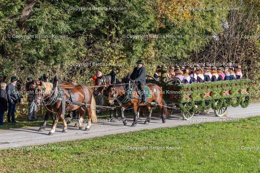 LBT24-523 | foto-bettina-krinner - Realisiert mit Pictrs.com