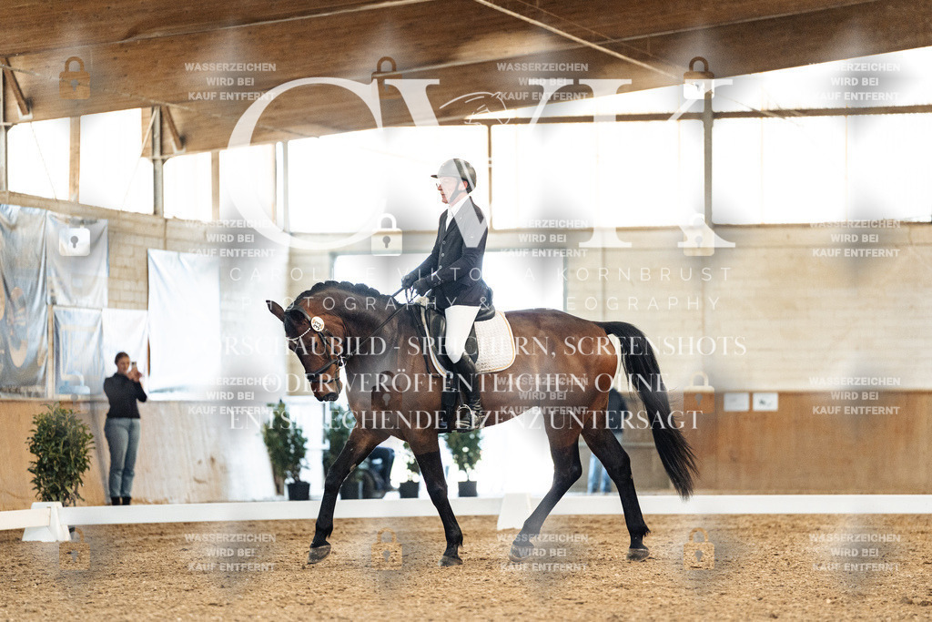 CK909021 | Turnierfotografie Pferdefotografie Trier Rheinland-Pfalz Pferdesport Reitsport Tierfotografie Sportfotografie Pferdevideo Pferdevideografie Equestrianvideography equestrianphotography  - Realisiert mit Pictrs.com