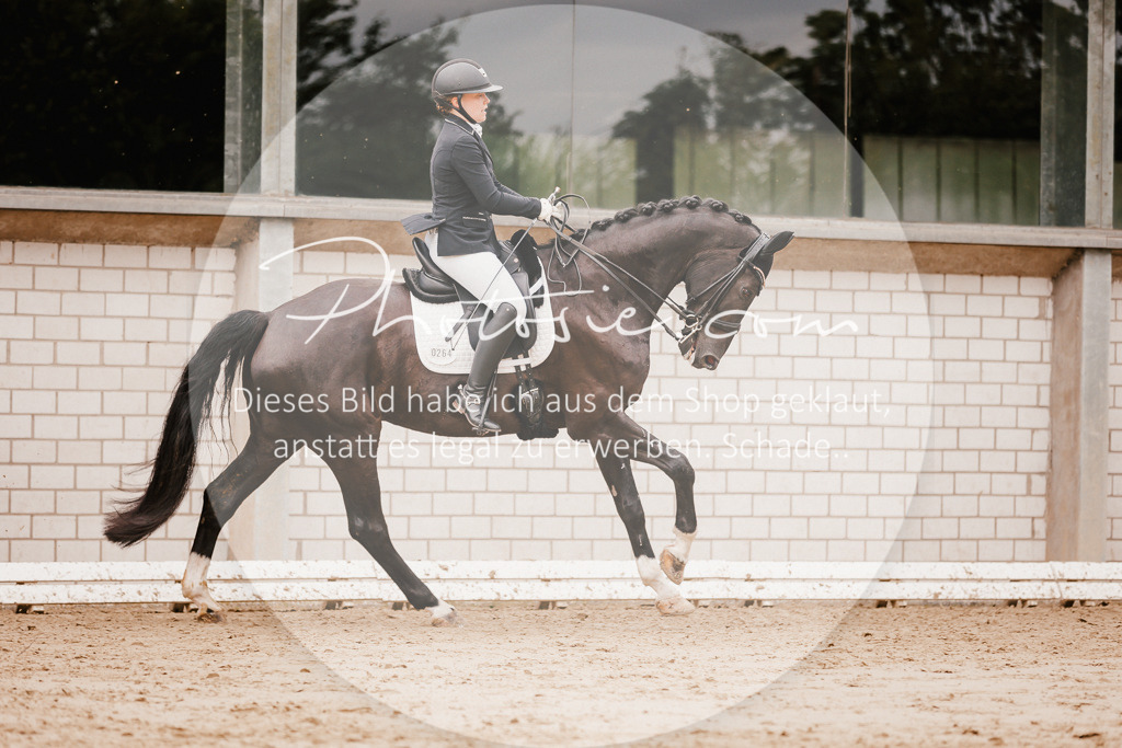 3I6A7721 | Stimmungsvolle Portraits und Reitsportfotografie im Ruhrgebiet und im Münsterland.

Pferdefotografie, Hundefotografie, Tierfotografie, Reportagen, Portraits von Tier und Mensch, Turnierfotografie in Bochum, Recklinghausen, Marl, Haltern am See, Dülmen.. - Realisiert mit Pictrs.com