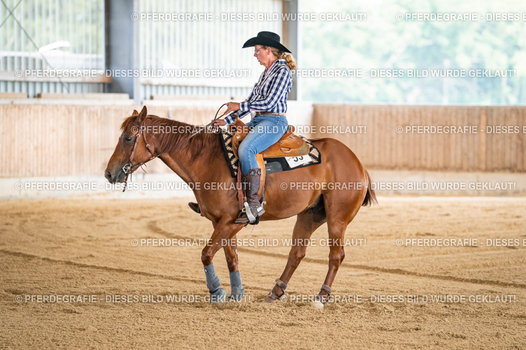 DSC04276 | Pferdegrafie