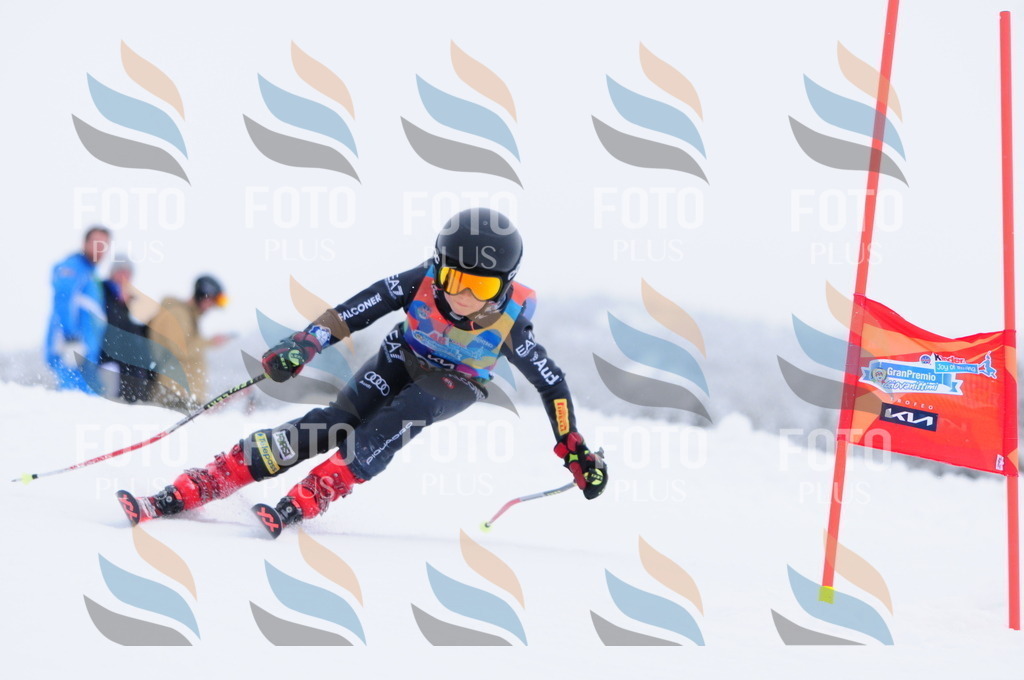 C3007 | holidayphoto