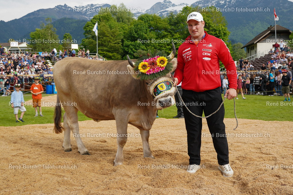 DSC00190 | René Burch leidenschaftlicher Fotograf aus Kerns in Obwalden.  Hier finden sie Sport, Landschaft und Natur Fotografie.
 - Realisiert mit Pictrs.com