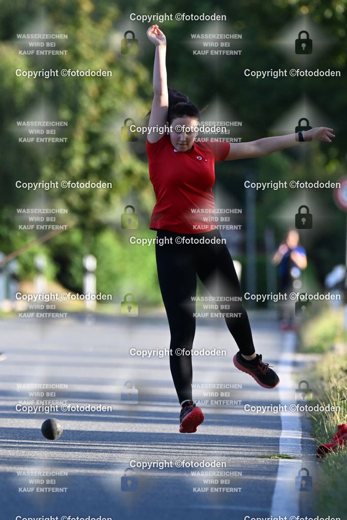 DSC_9161 | Paula Janssen / Schweinebrück 