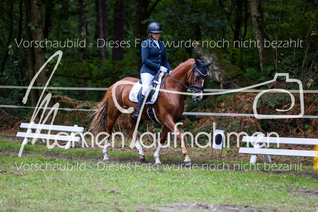 HB-A-Dressur-141 | MomenTaufnahmen Pferdesportfotos