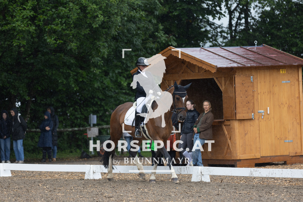 0P6A7748 | Willkommen bei Brunnmayr - Design & Fotografie – Ihrem Spezialisten für Reitturniere und Pferdeveranstaltungen in Oberösterreich, Salzburg und Bayern! Seit über 17 Jahren sind wir leidenschaftlich dabei.