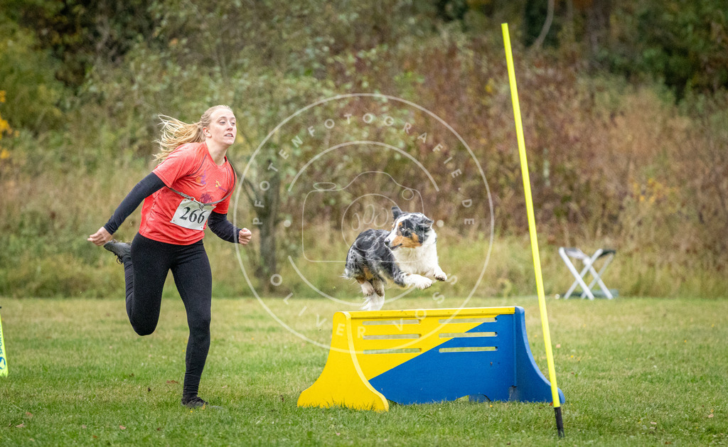 Pfotenfotografie_DV3A1162 | Hundefotografie, Tierfotograf, Pfotenfotografie, Fotoshooting Hund, Hunde Portrait, Hundesport, Hundeportraits, Heideshooting, Hunde, Sportfotograf, Hundefotograf, Turnierhundsport, THS,  - Realisiert mit Pictrs.com