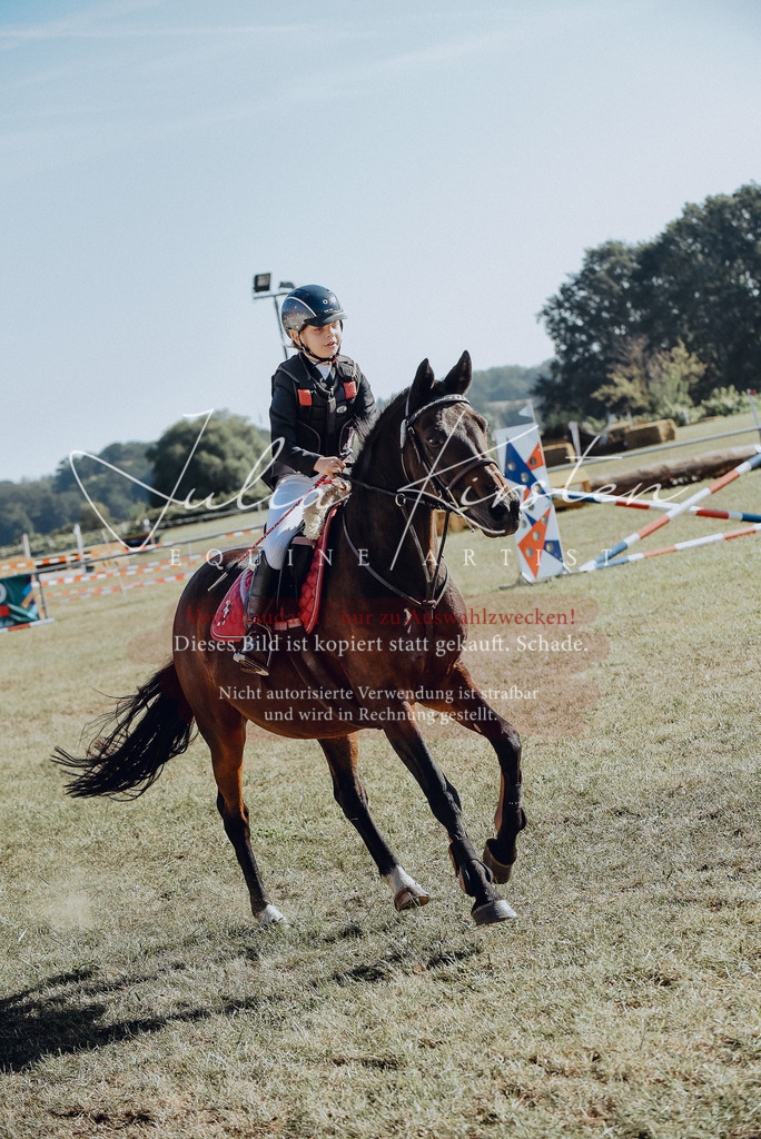 DSC_5847 | Pferde- und Turnierfotografie in Westsachsen. Pferdeportraits, Auftragszeichnungen und intuitive Kunst.