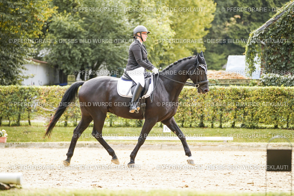 DSC01149 | Pferdegrafie