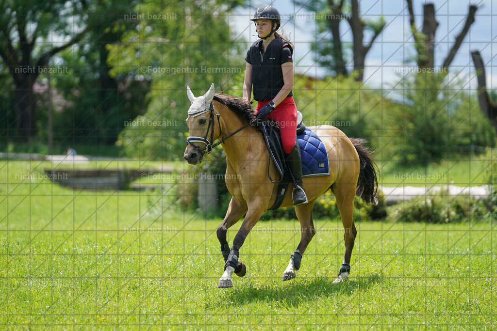 20240622-FAH07304 | Turnierfotografen Bayern, Reitsportbilder aus dem Geländekurs mit Felix Etzel auf dem Gut Waitzacker 2024